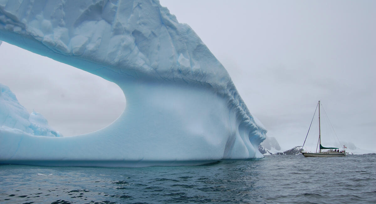“Kiwi Roa” and iceberg