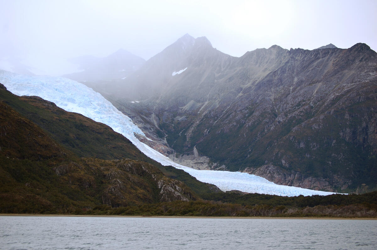 Beagle glacier