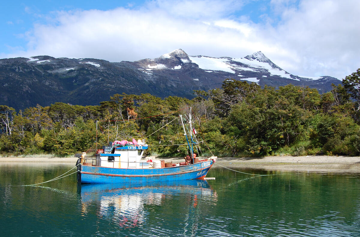 Chilean fishing boat, Caleta Olla