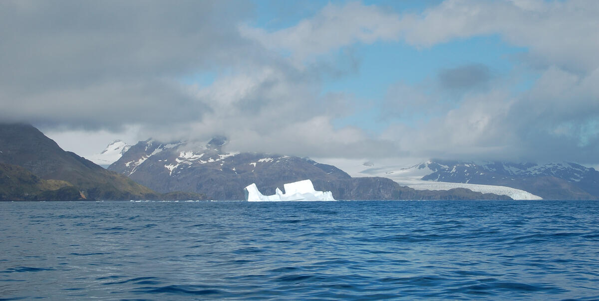 Coastal iceberg