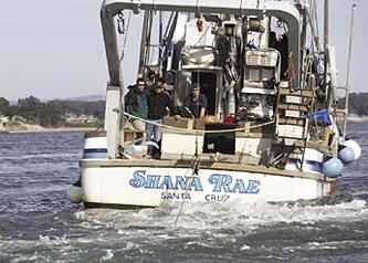 West Marine anchor testing: the “Shana Rae”