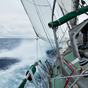 Kiwi Roa, sailing
